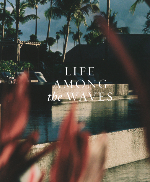 LIFE AMONG the WAVES