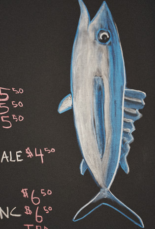 Fish Illustration
